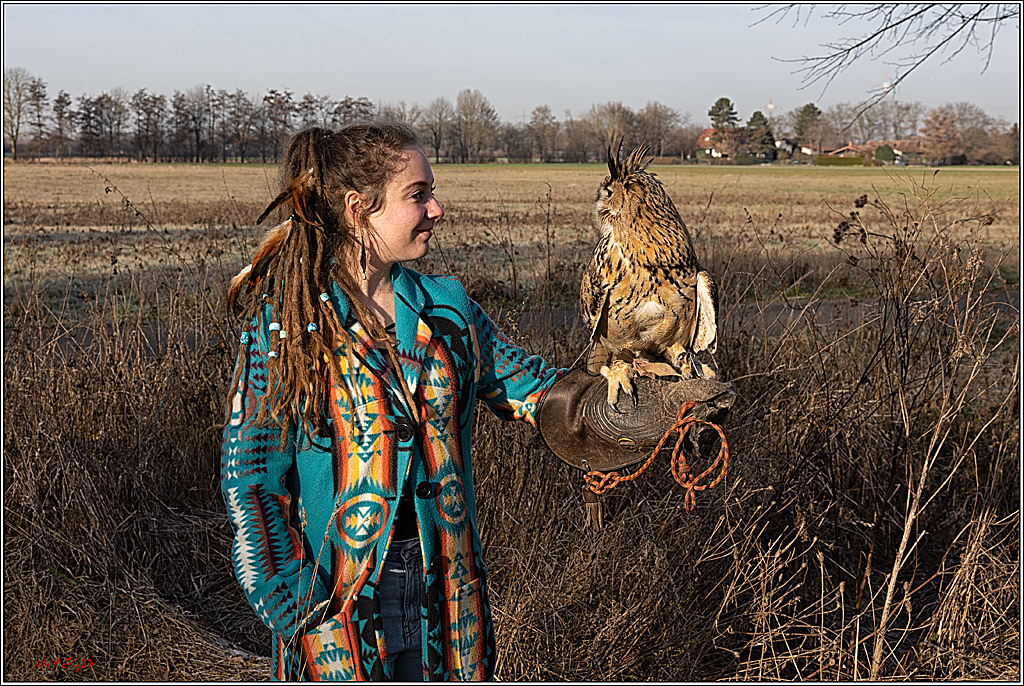 Cheyenne-Halbblut Hunting Wolf in der Falknerei Pierre Schmidt; Gymnich, 09.02.2023